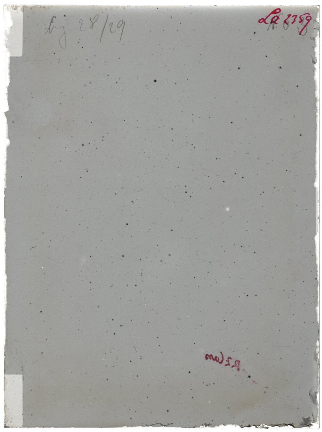 Scan LA02359