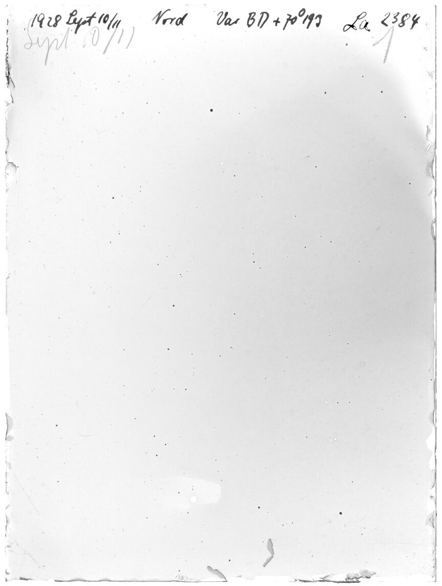 Scan LA02384
