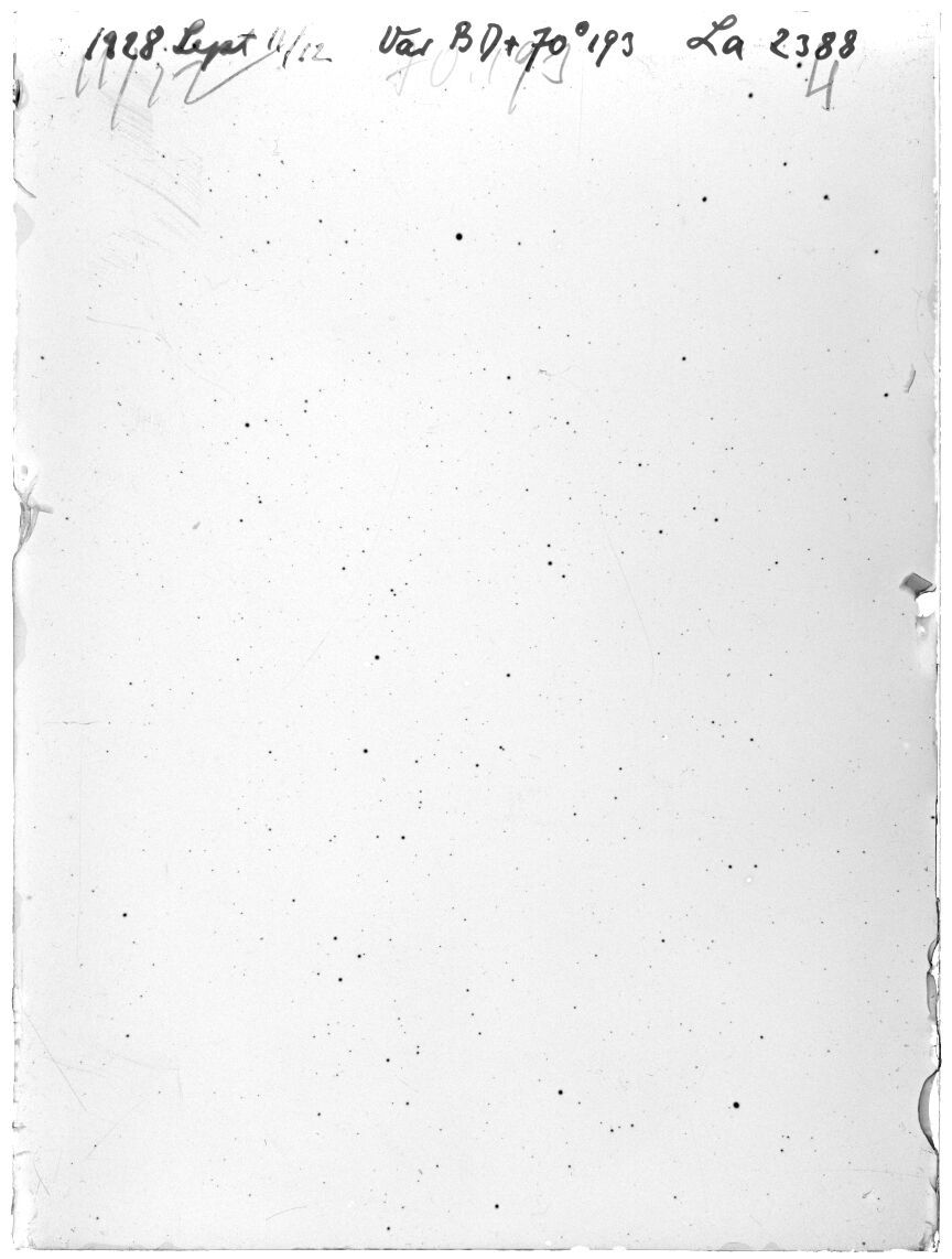 Scan LA02388