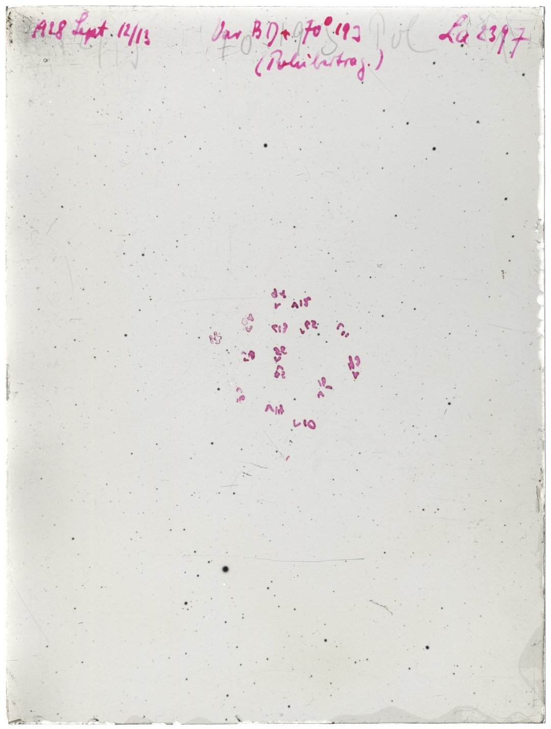 Scan LA02397