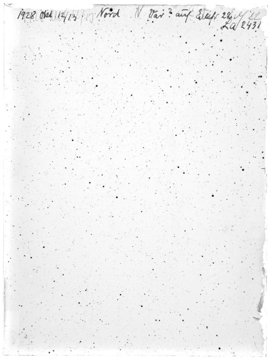 Scan LA02431