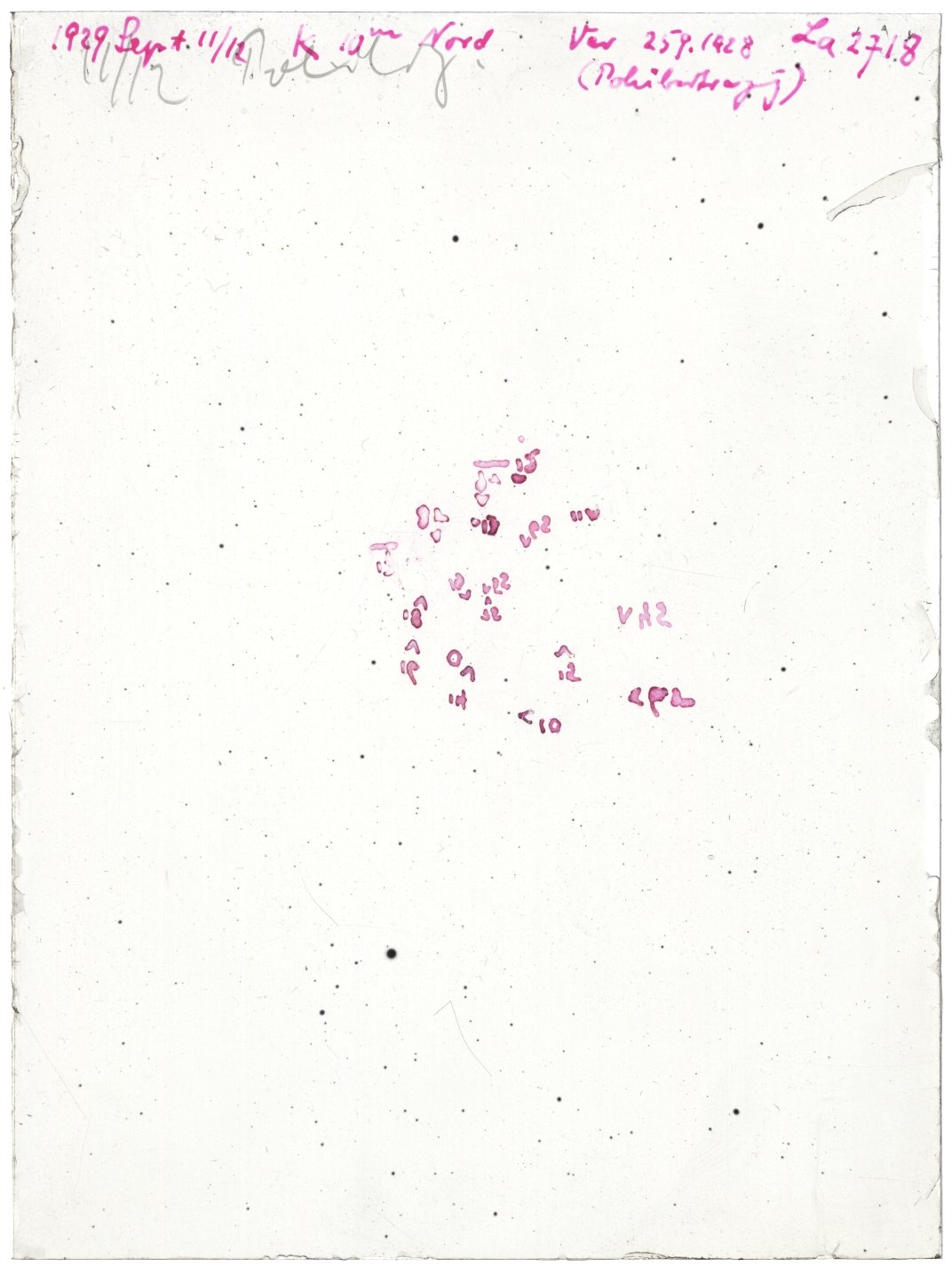 Scan LA02718