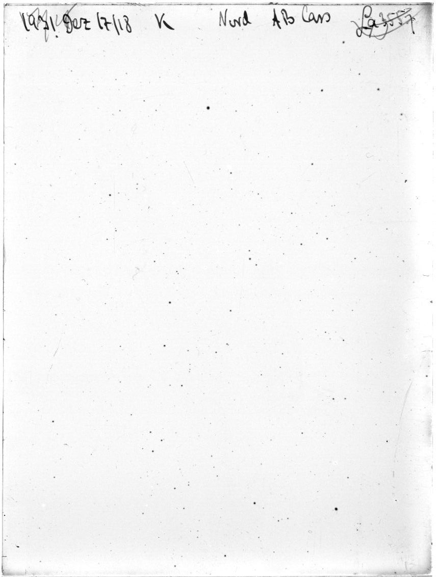 Scan LA03557
