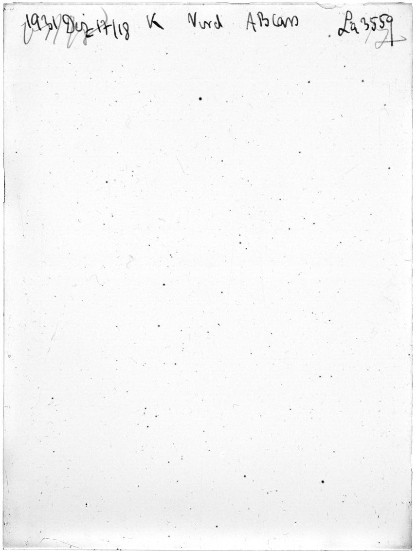 Scan LA03559