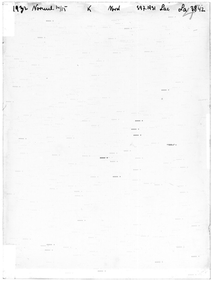 Scan LA03842