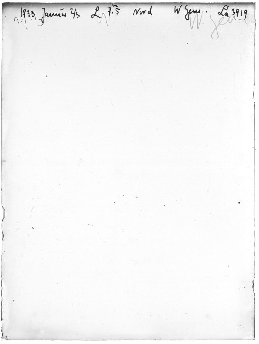 Scan LA03919