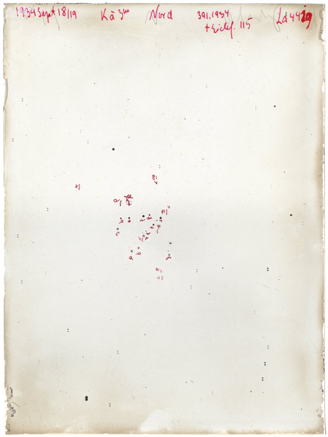Scan LA04419