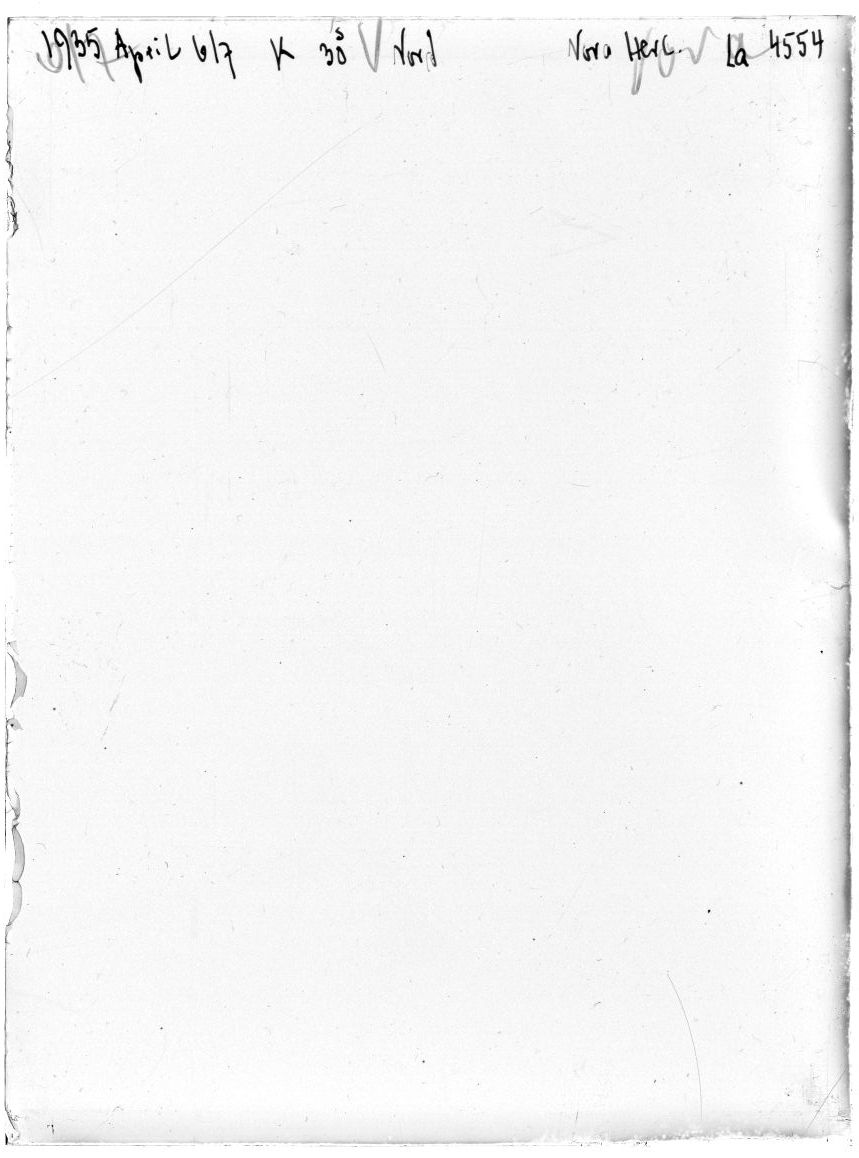 Scan LA04554