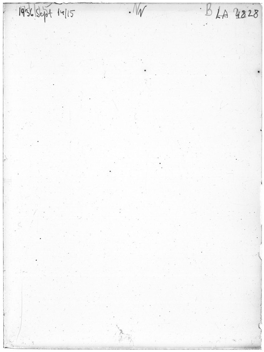 Scan LA04828