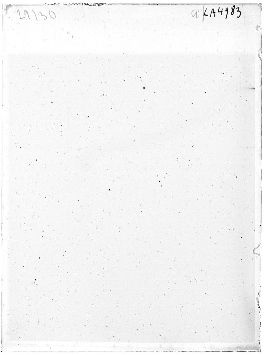 Scan LA04983