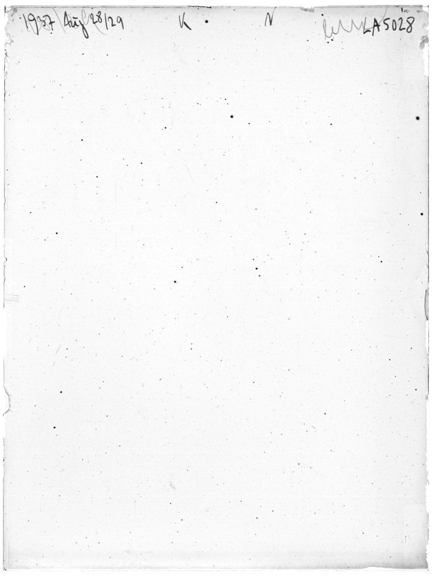 Scan LA05028