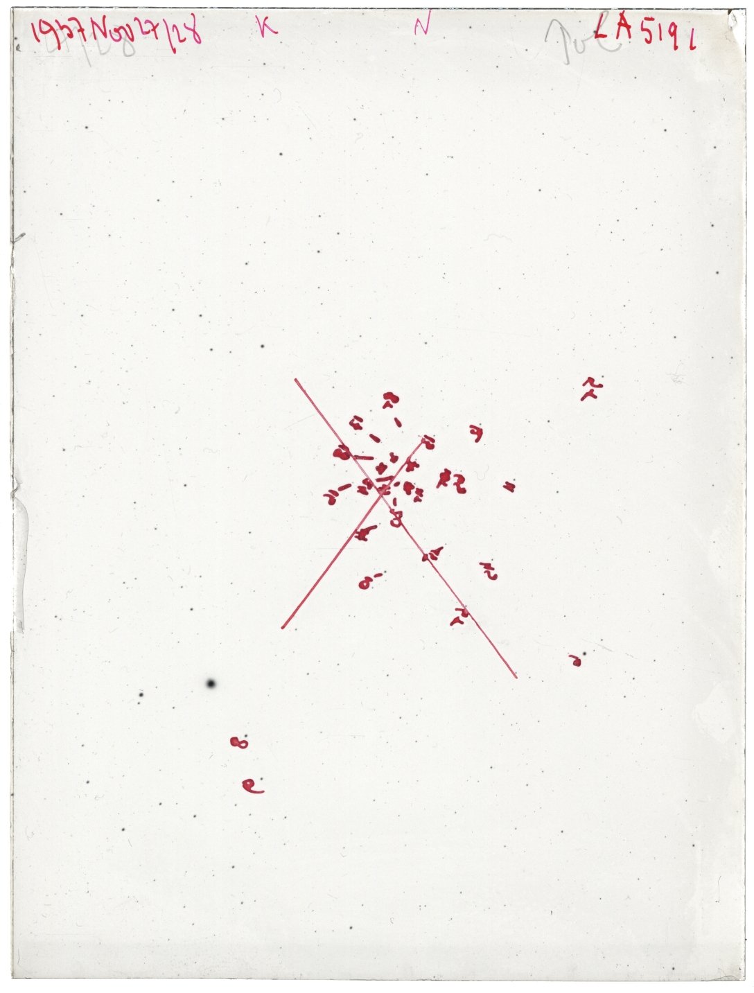 Scan LA05191