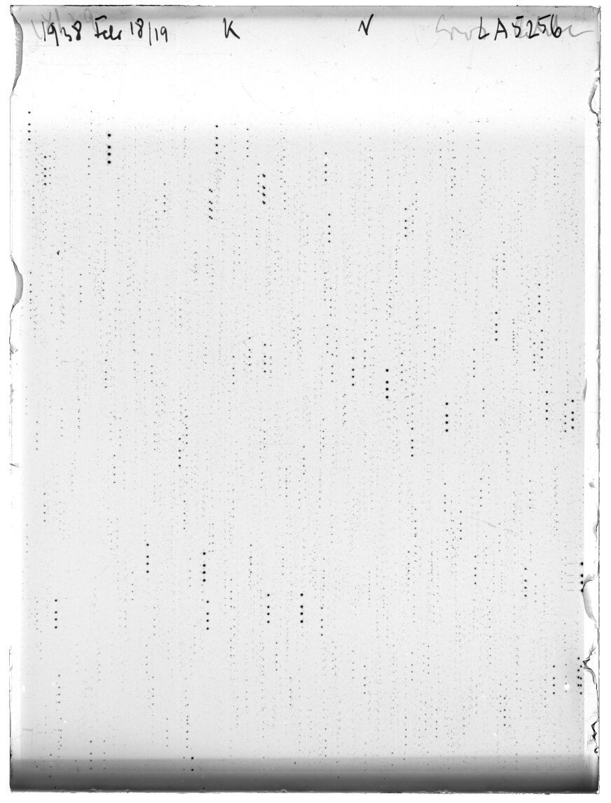 Scan LA05256