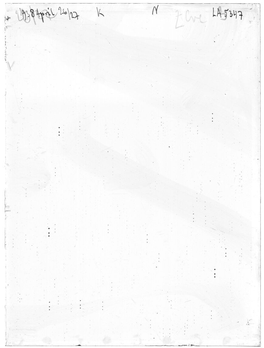 Scan LA05347
