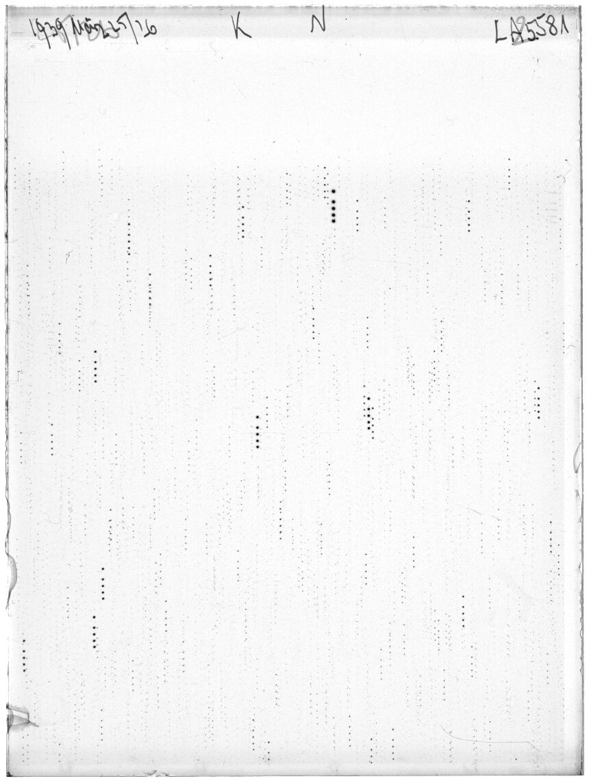 Scan LA05581