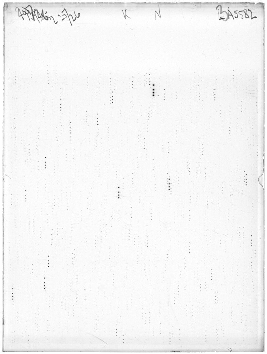 Scan LA05582