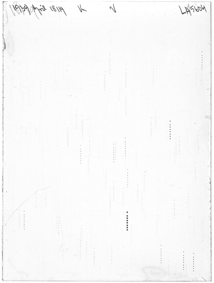 Scan LA05604