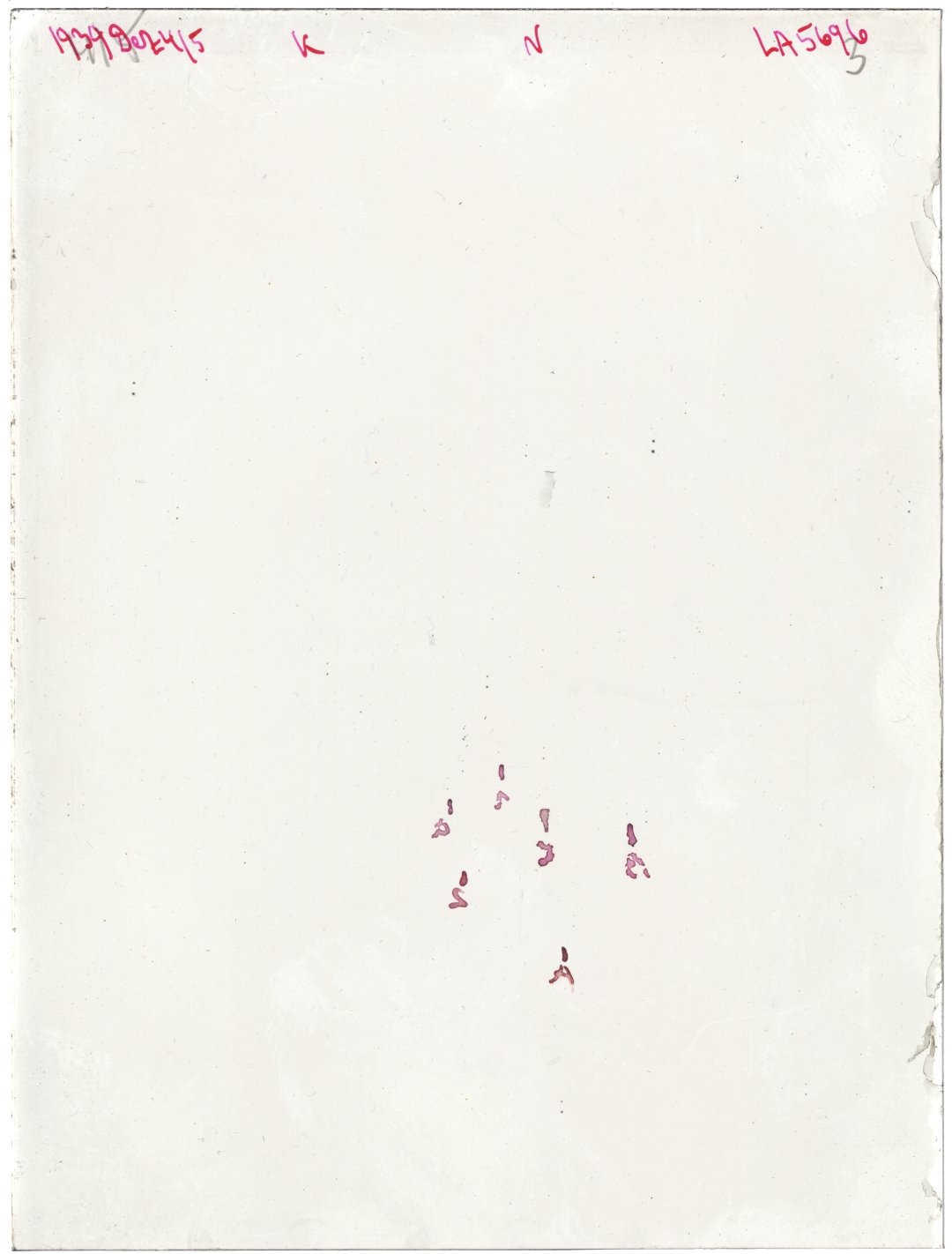 Scan LA05696