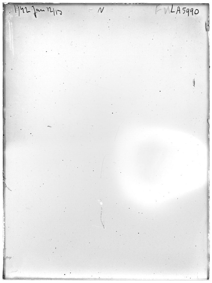 Scan LA05990