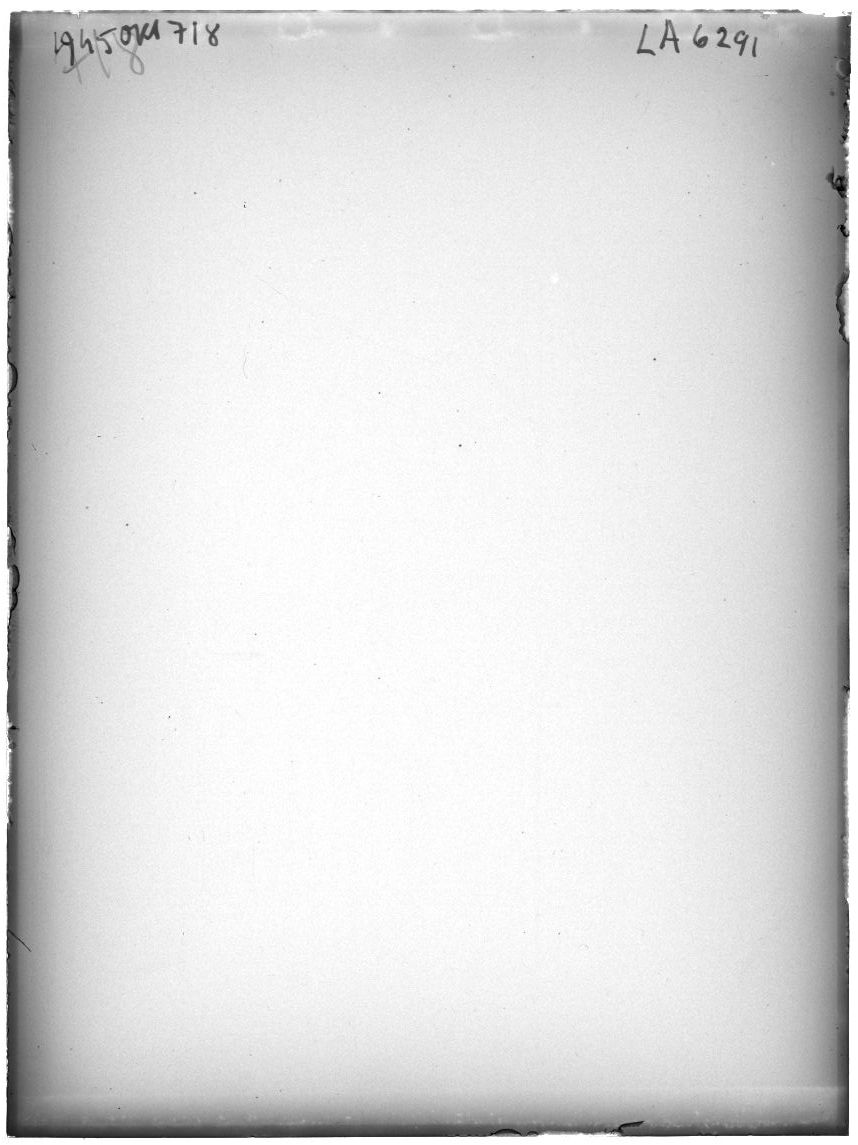 Scan LA06291