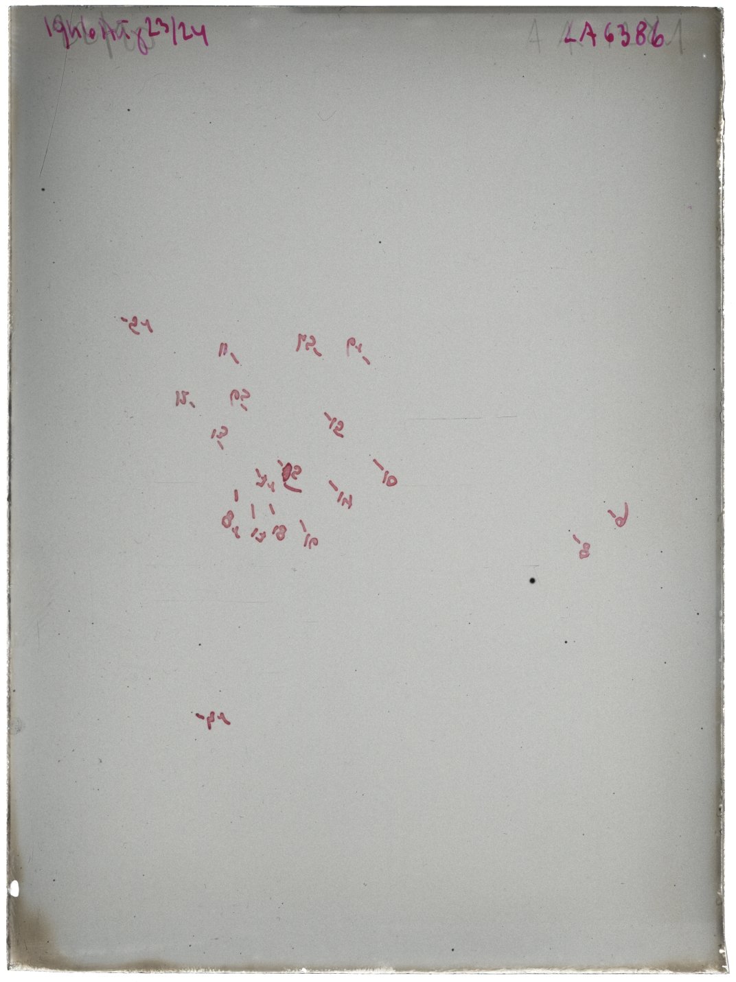 Scan LA06386
