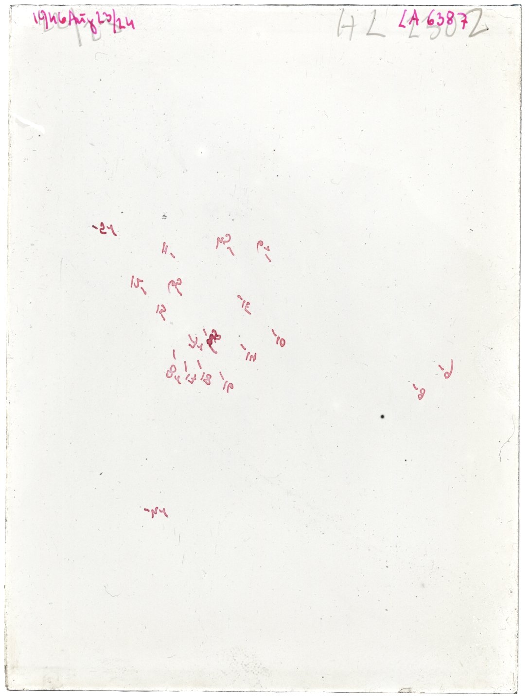 Scan LA06387