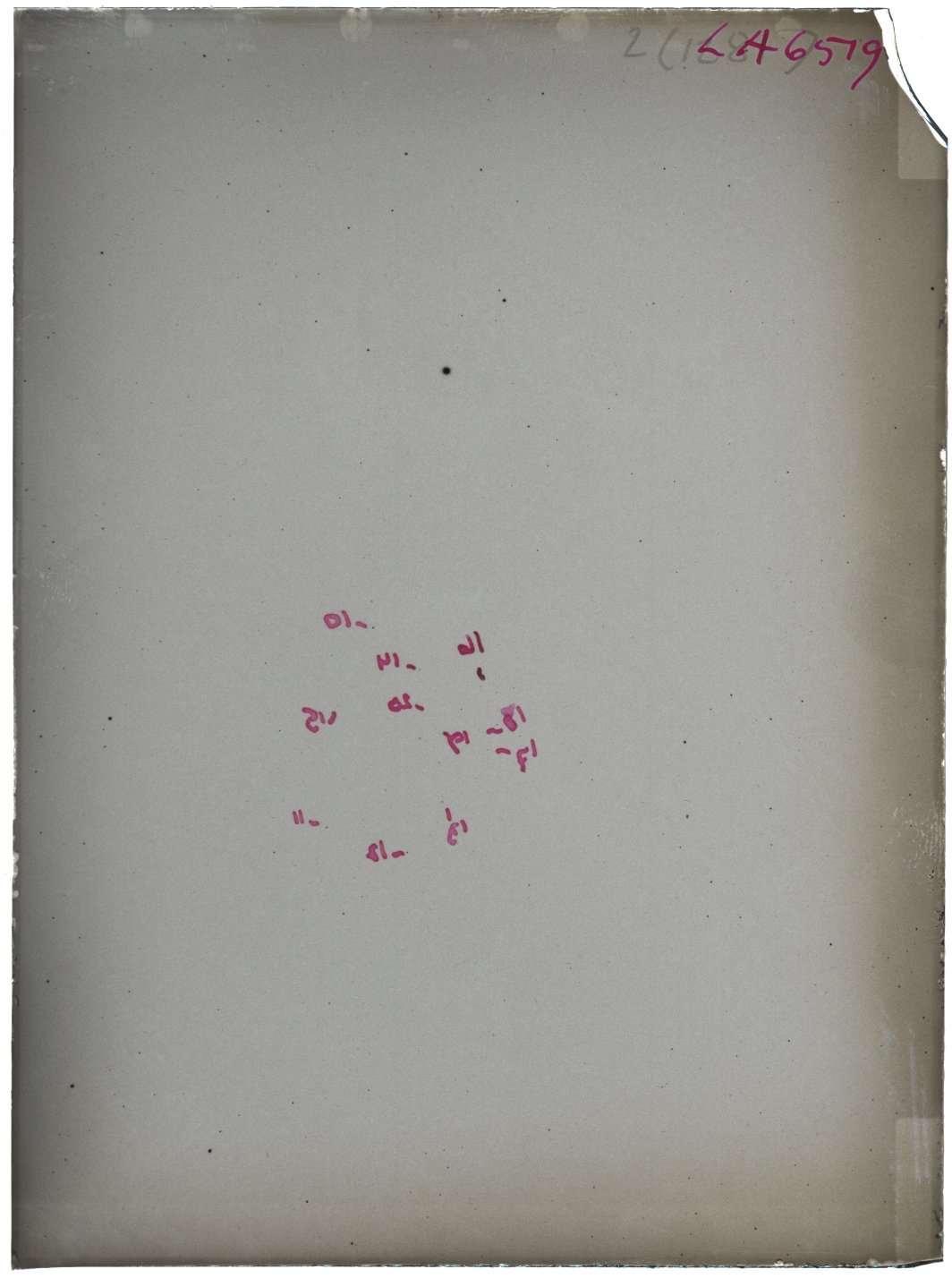 Scan LA06519