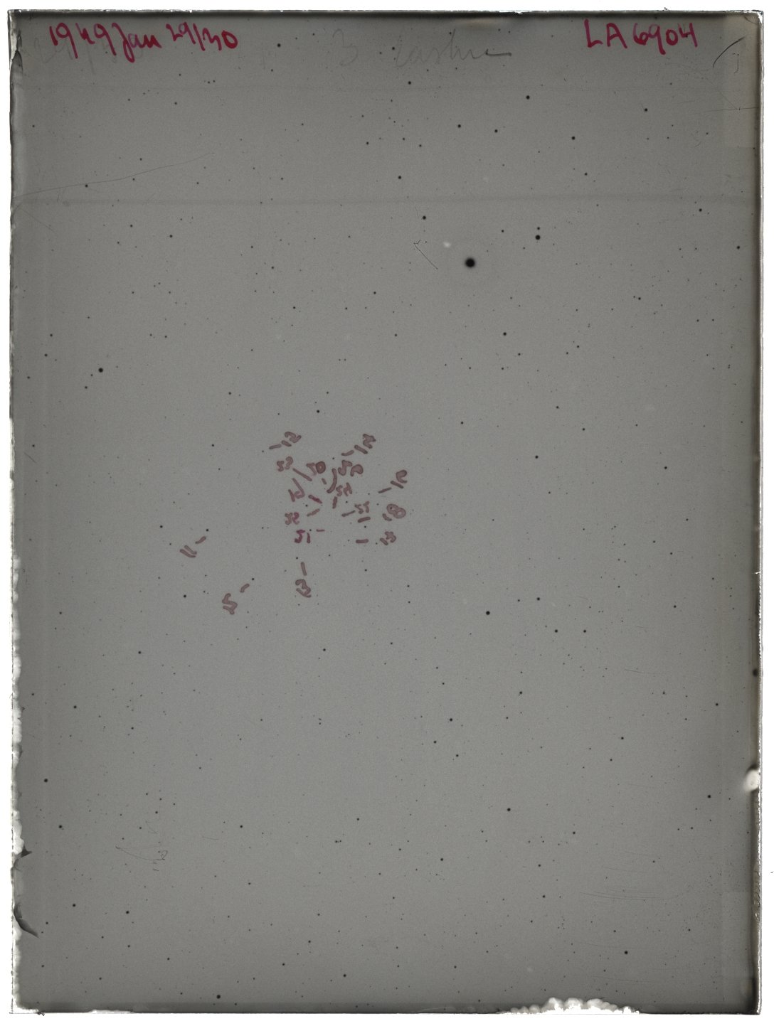 Scan LA06904