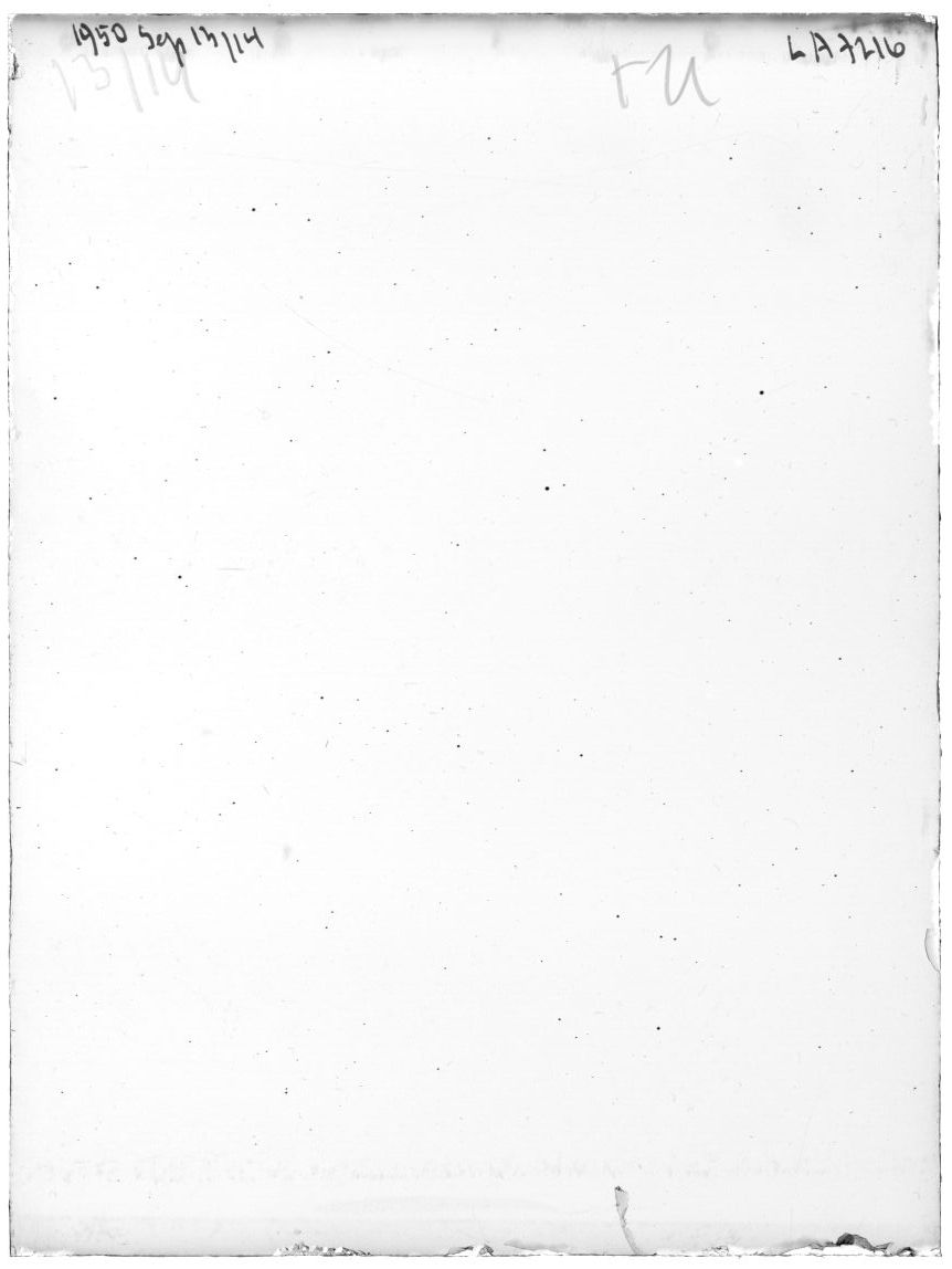 Scan LA07216