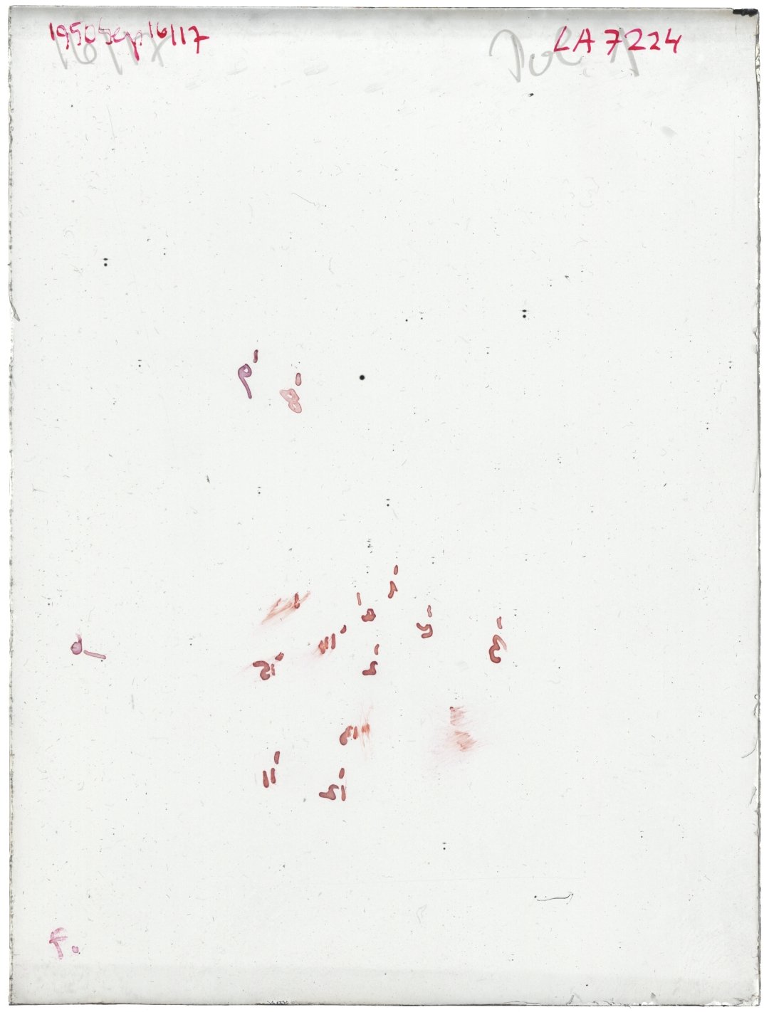 Scan LA07224
