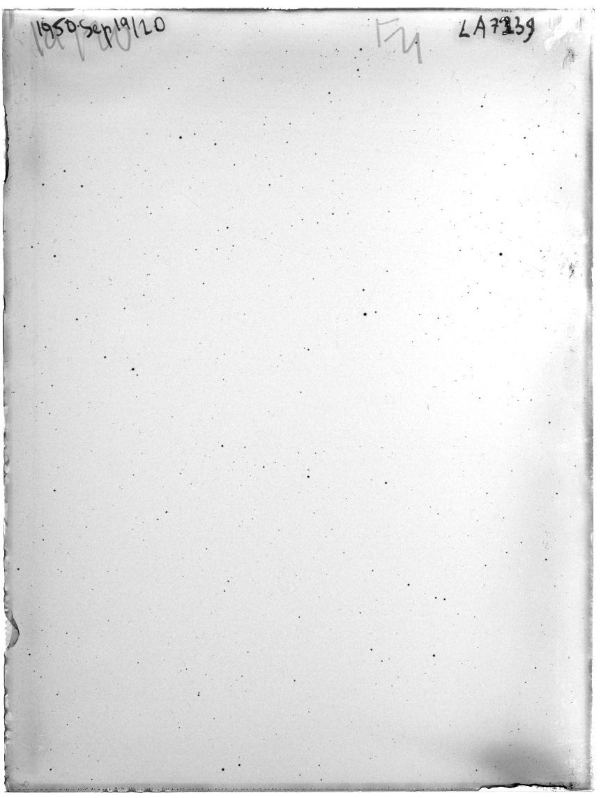 Scan LA07239