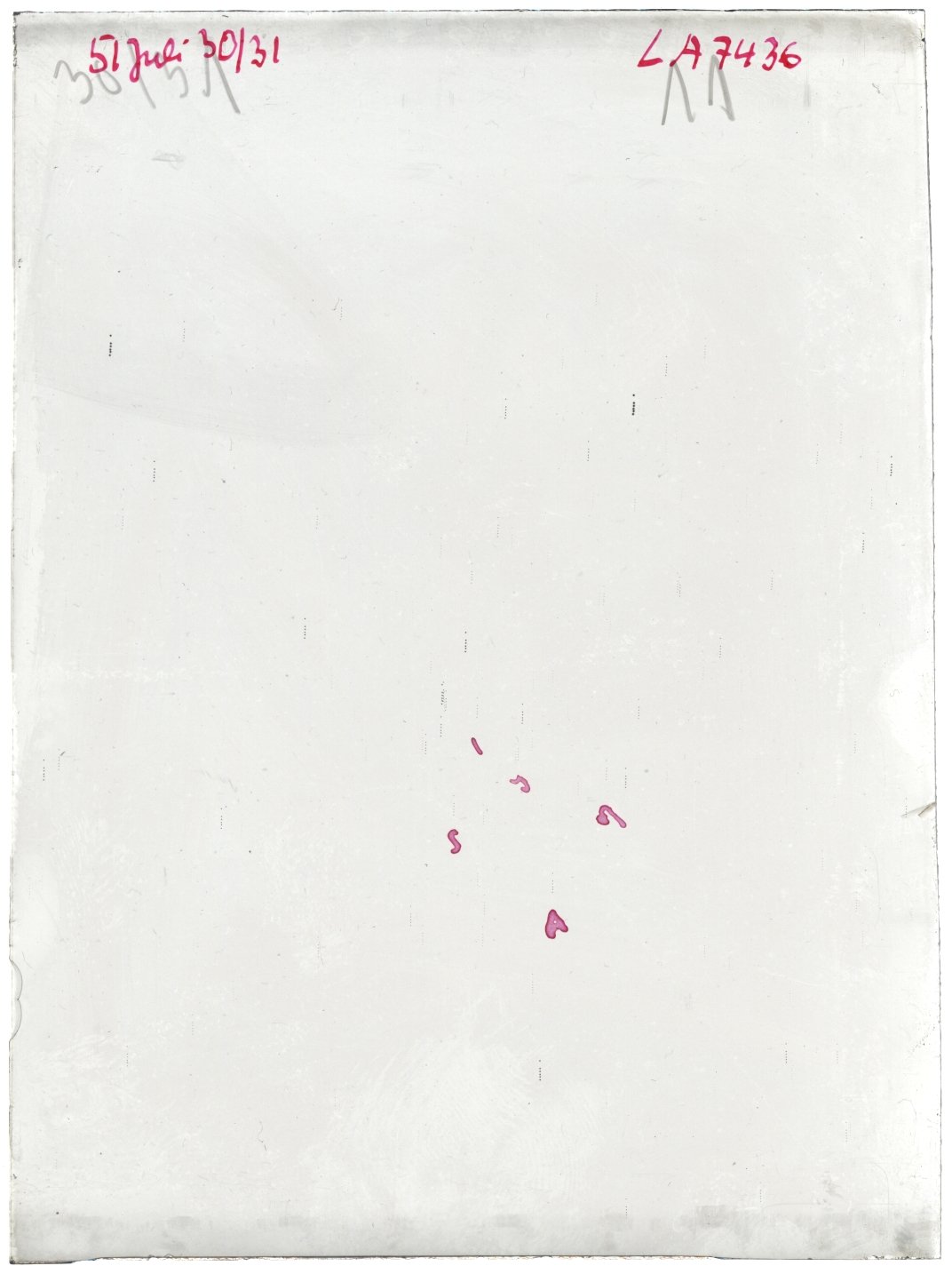 Scan LA07436