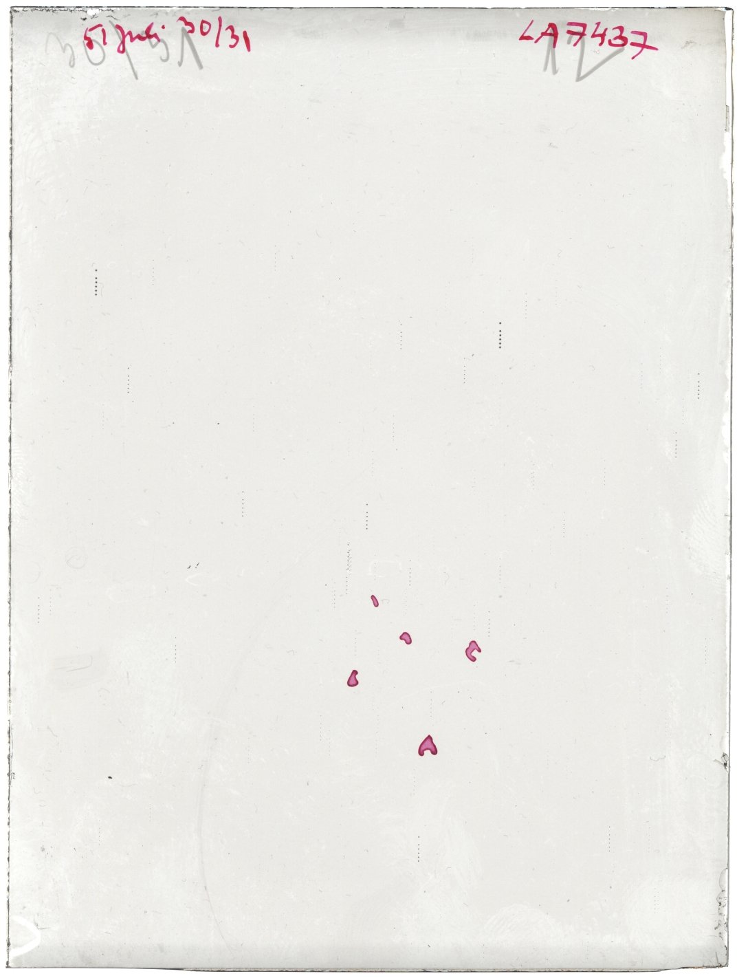 Scan LA07437