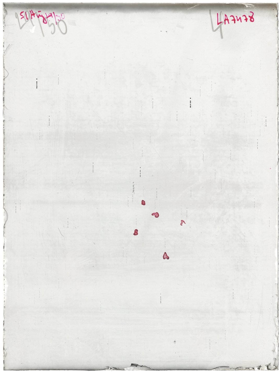 Scan LA07478