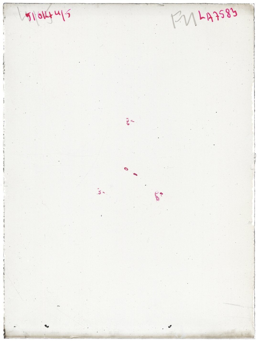 Scan LA07583
