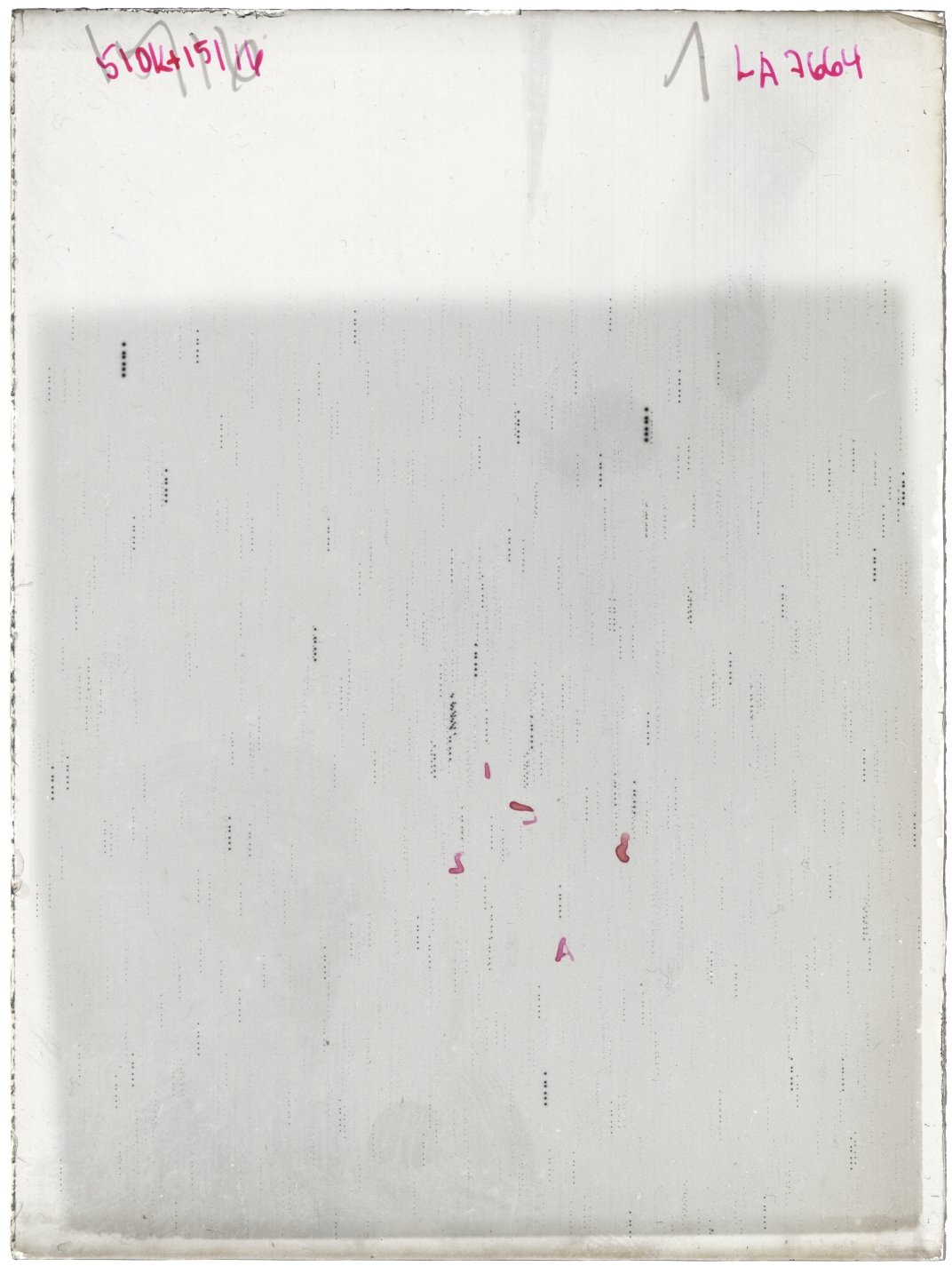 Scan LA07664