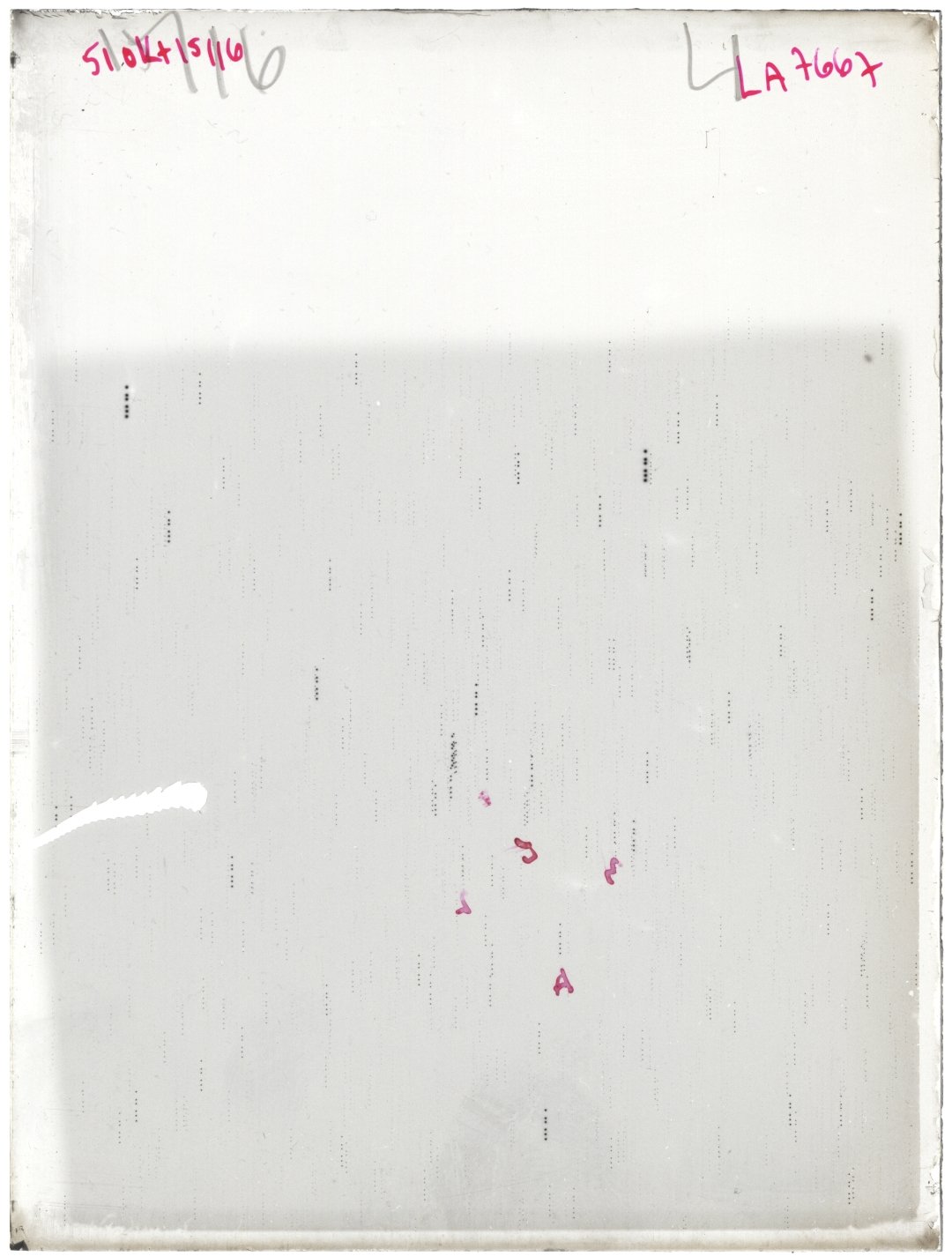 Scan LA07667