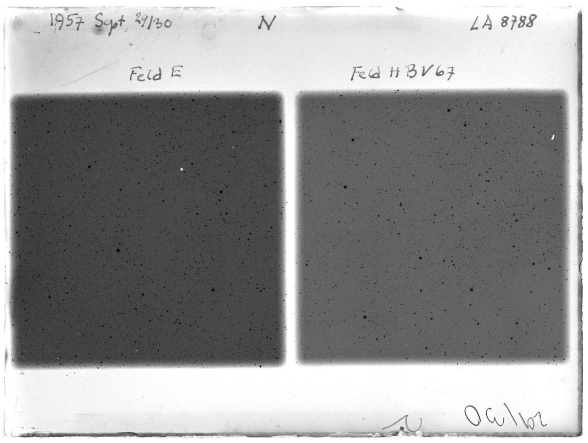 Scan LA08788