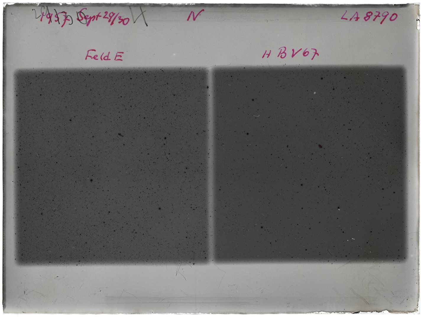 Scan LA08790