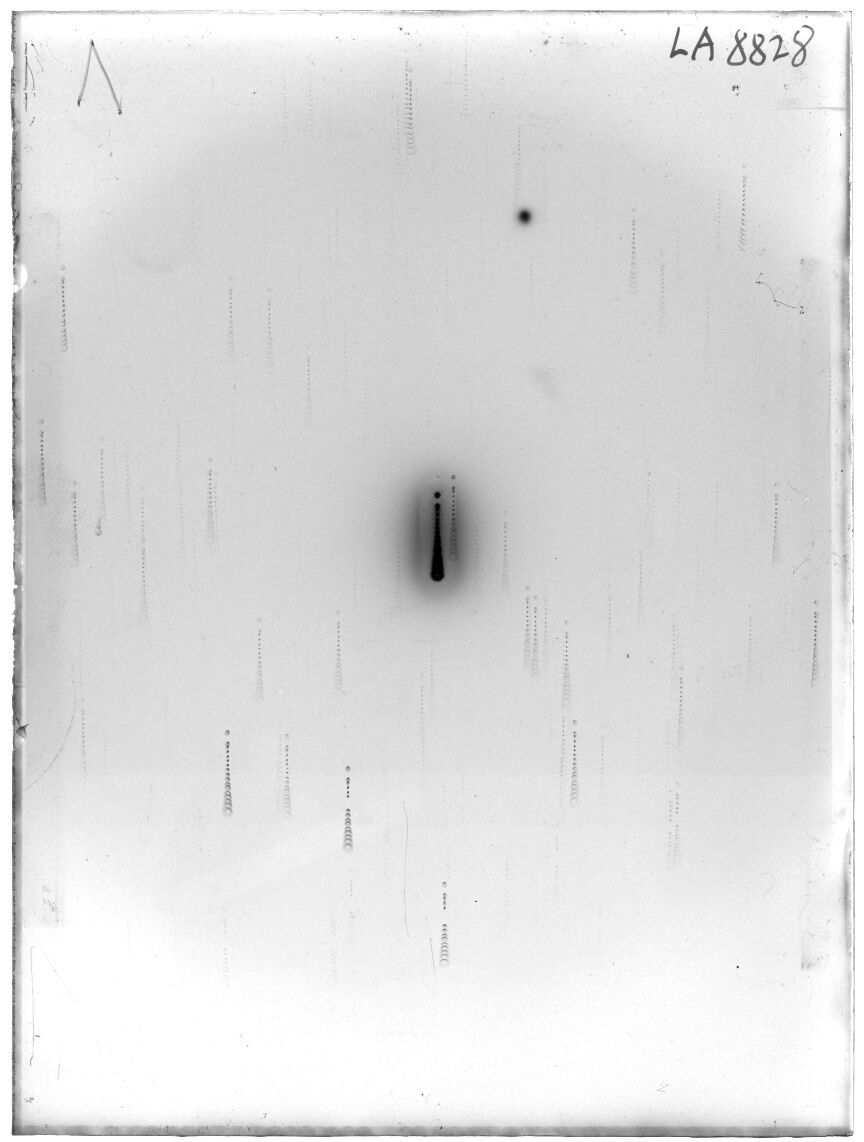 Scan LA08828