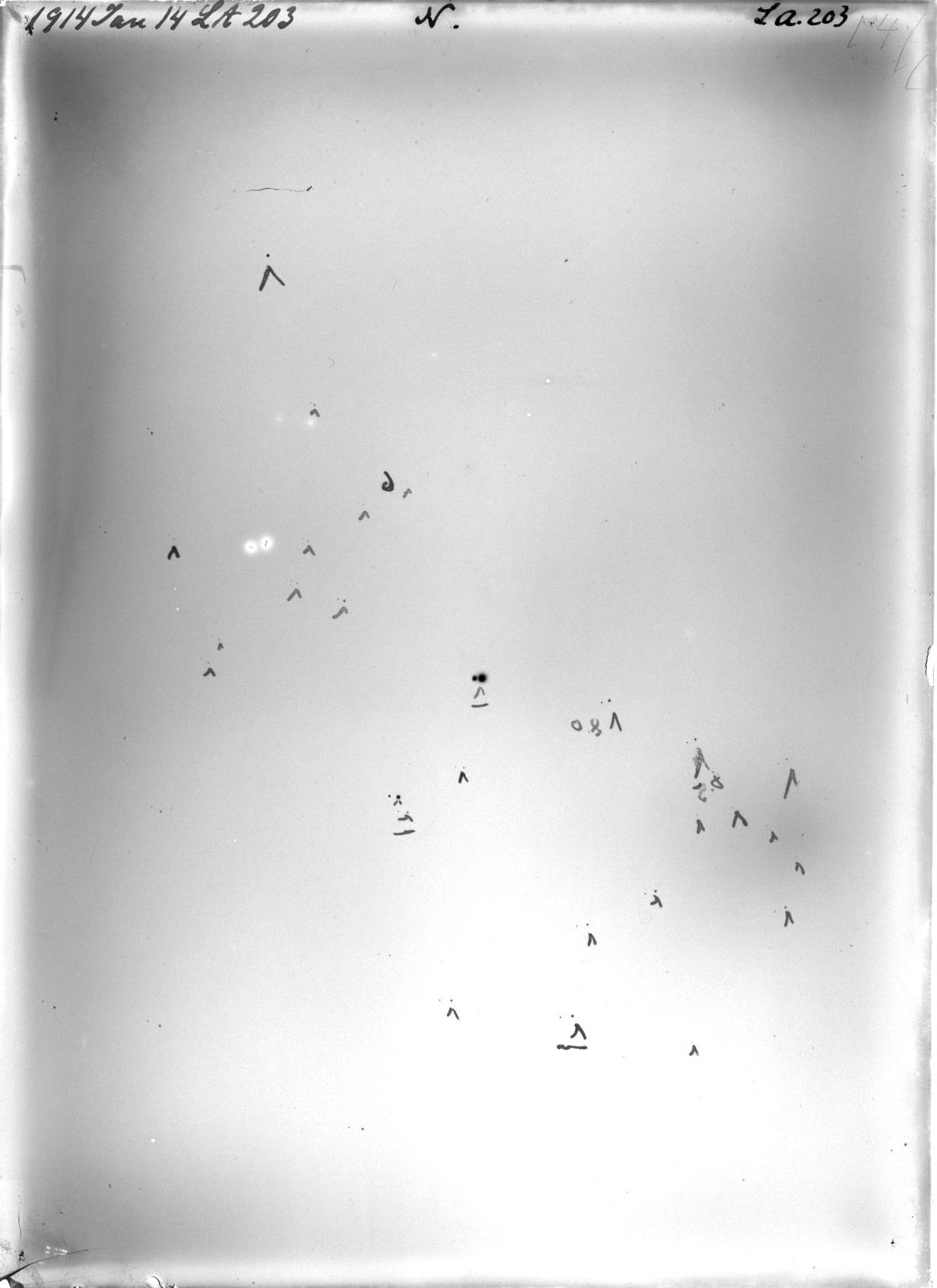 Scan LA00203