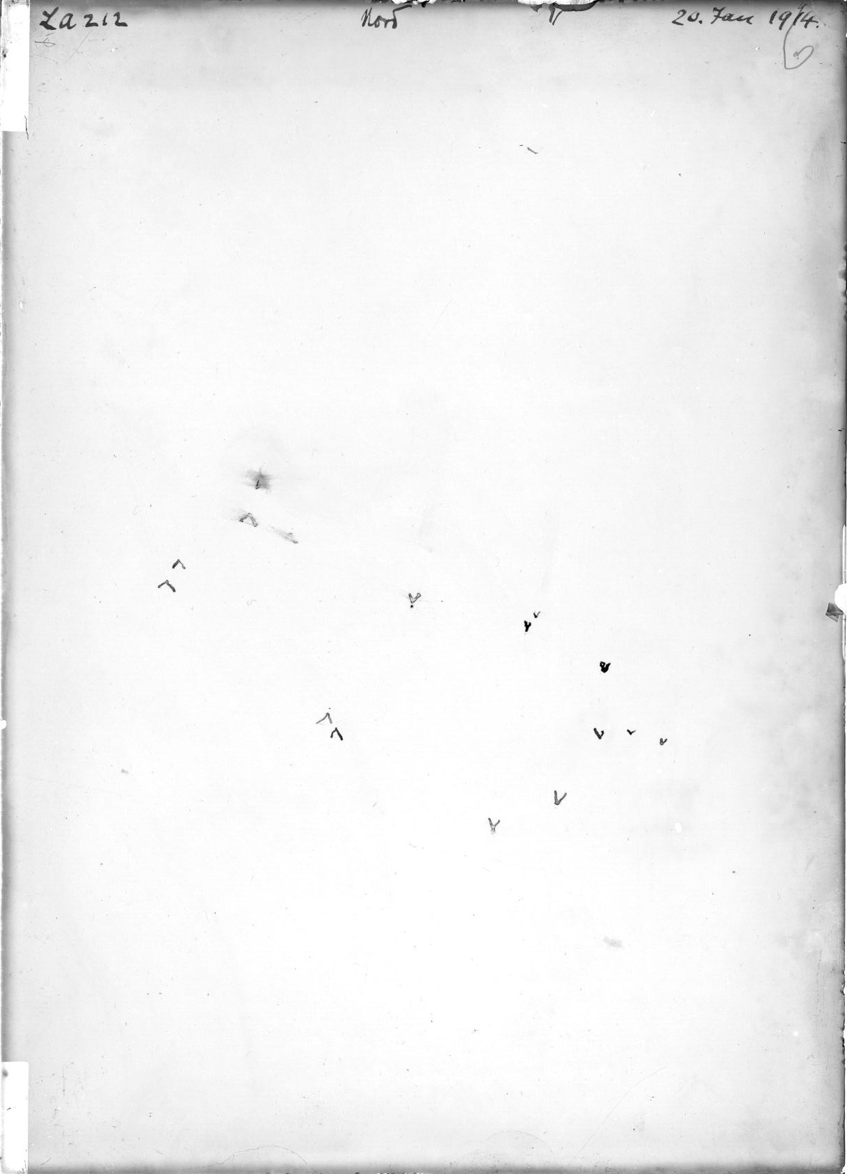 Scan LA00212