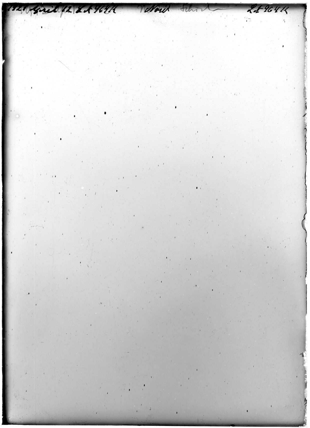 Scan LA00964