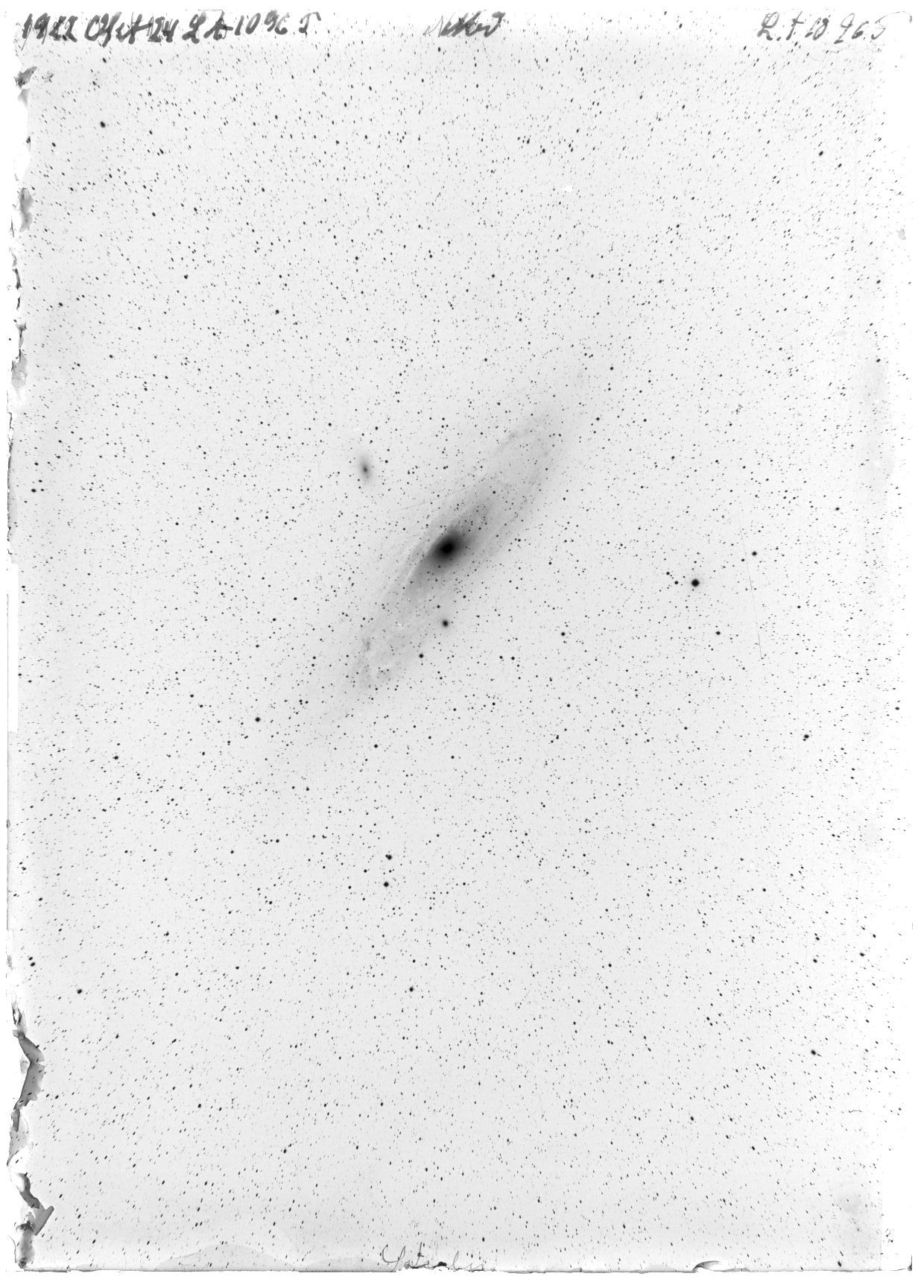 Scan LA01096