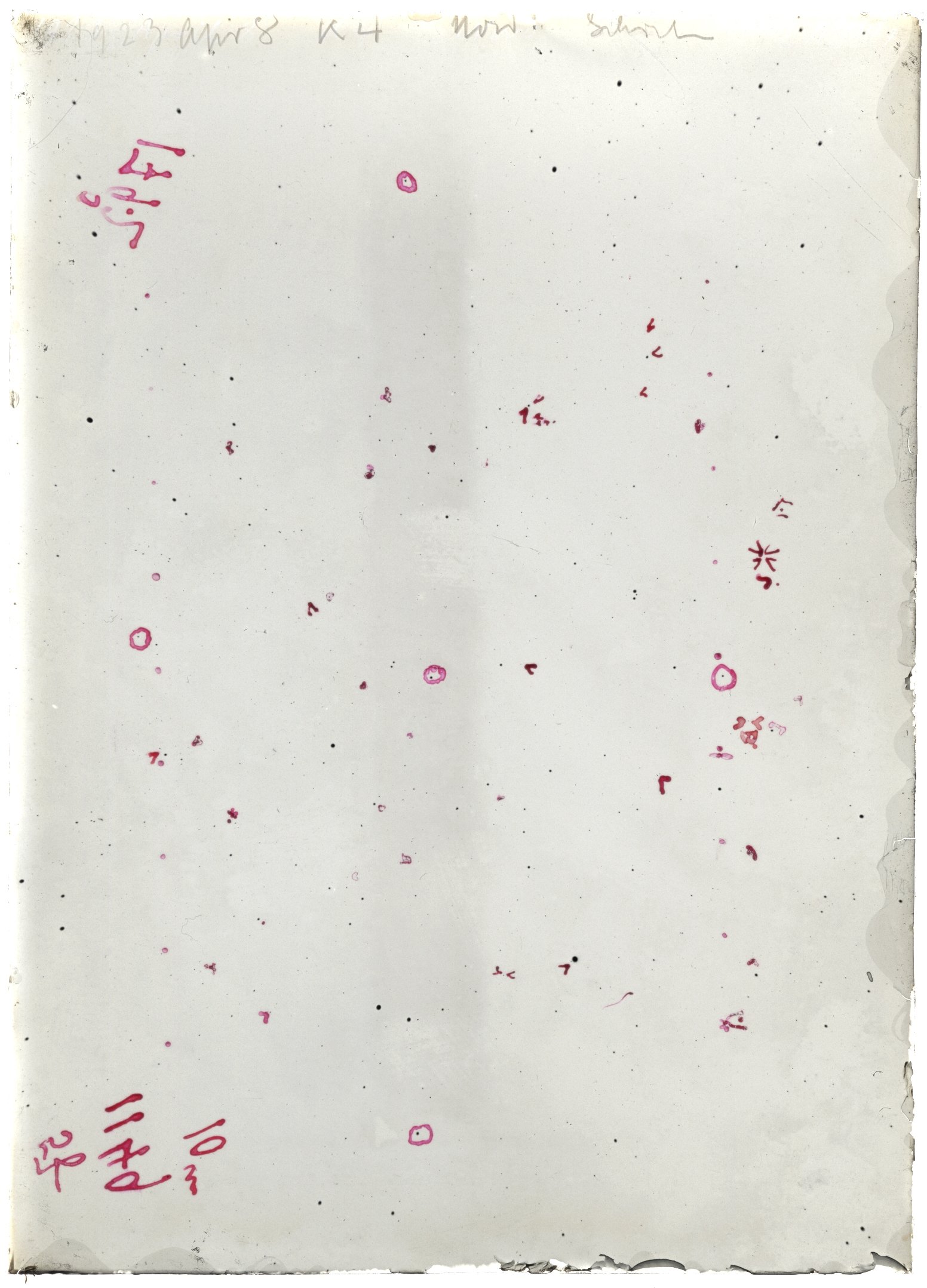 Scan LA01149