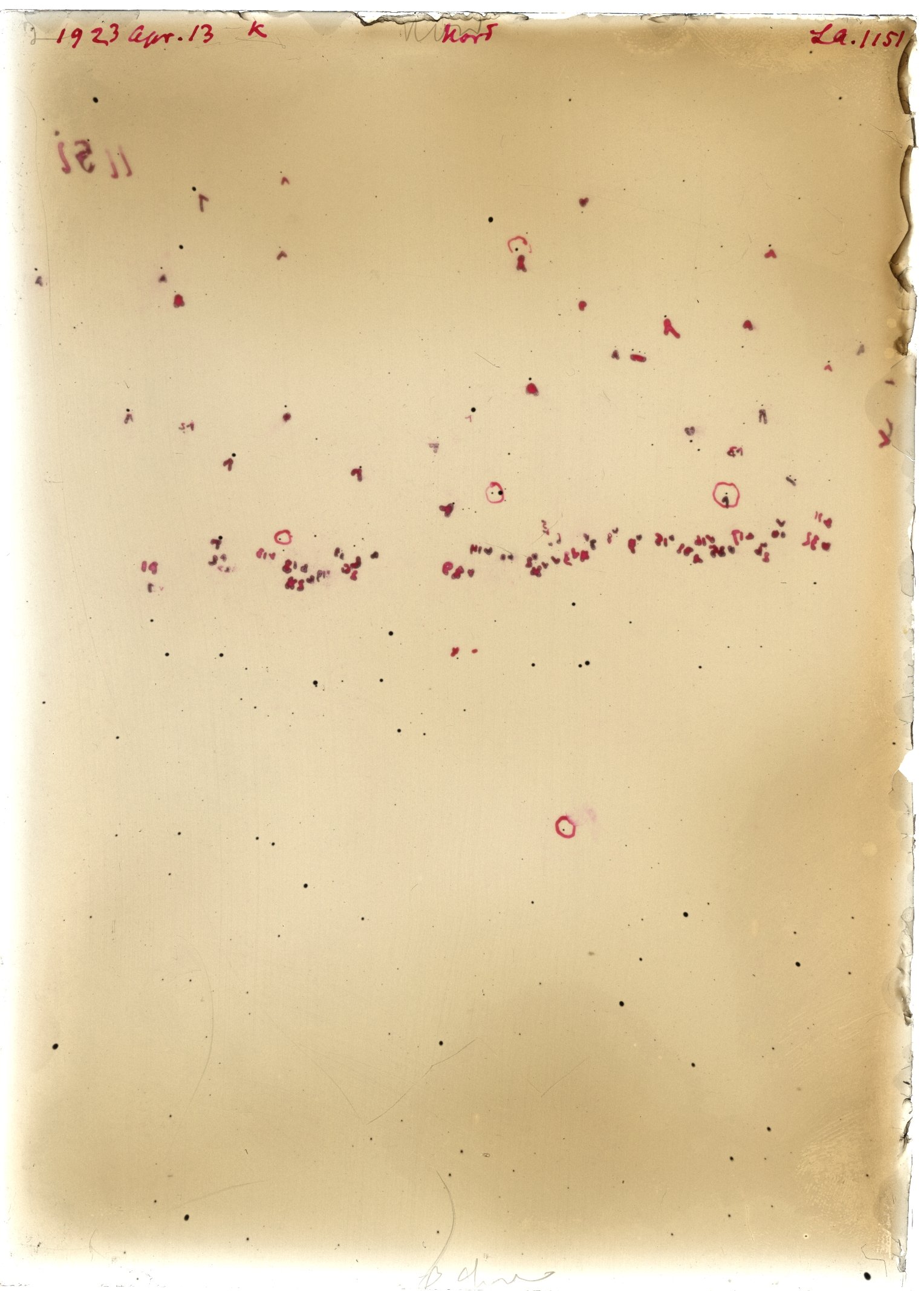 Scan LA01151