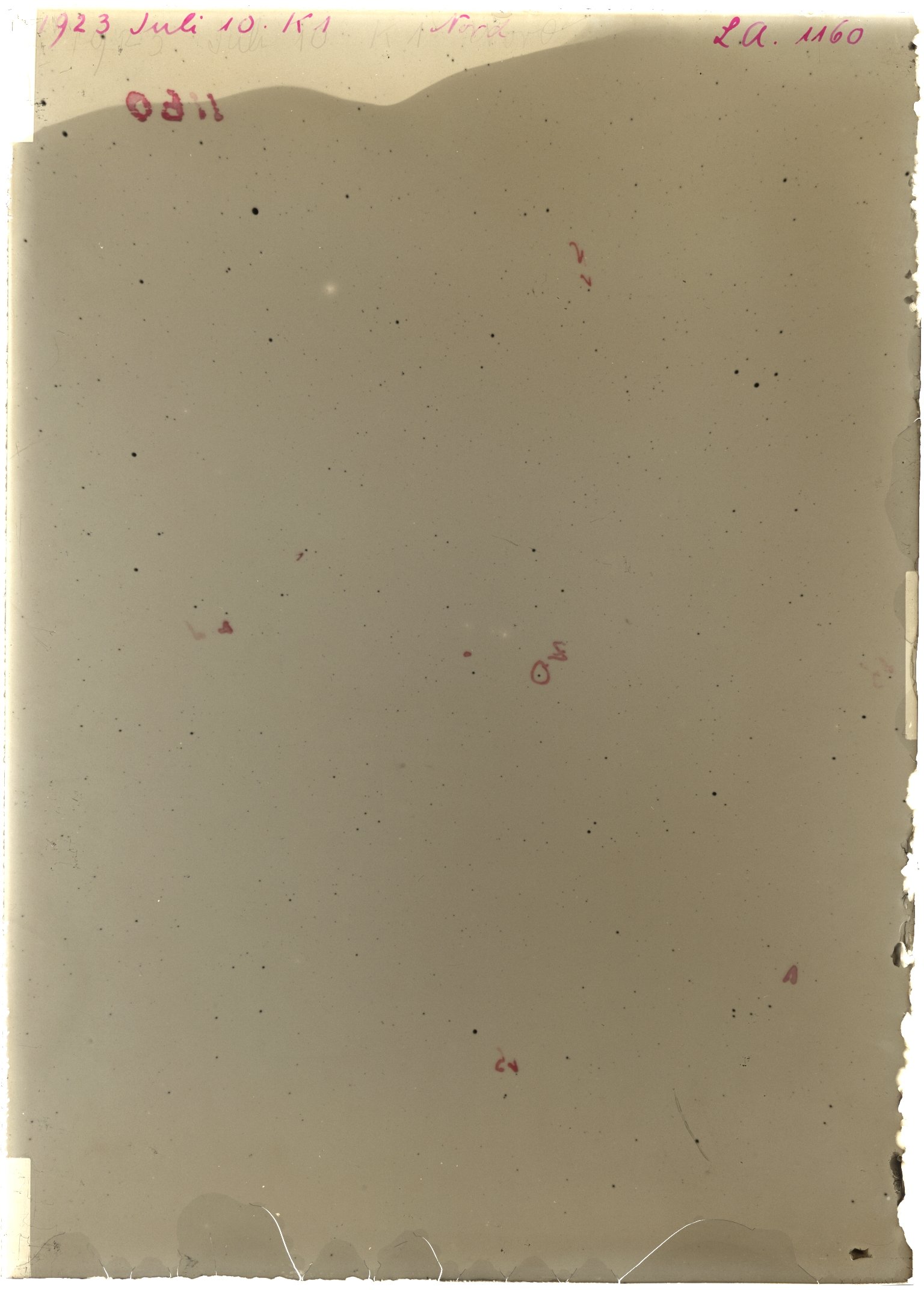 Scan LA01160