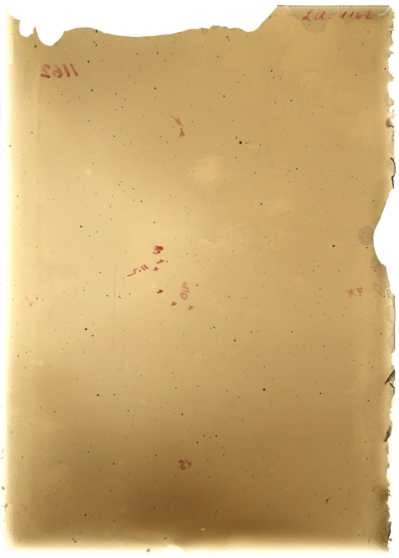 Scan LA01162