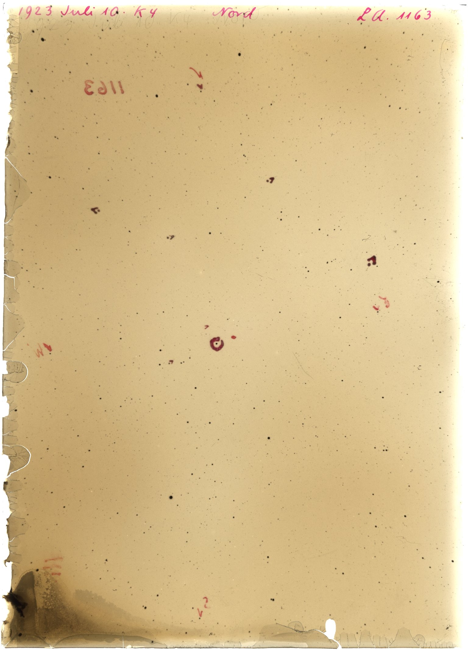 Scan LA01163