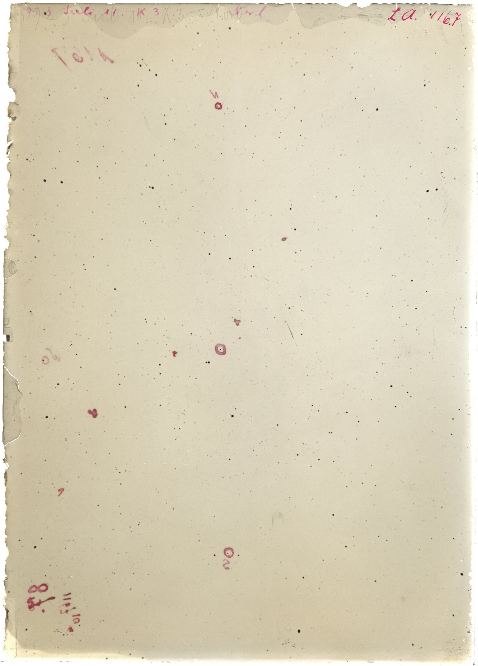 Scan LA01167